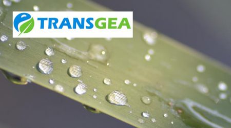 TRANSGEA – Transgraniczna współpraca w zakresie lokalnych działań adaptacyjnych do zmian klimatu