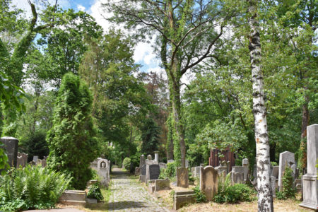 TAK dla zieleni cmentarzy i miejsc pamięci