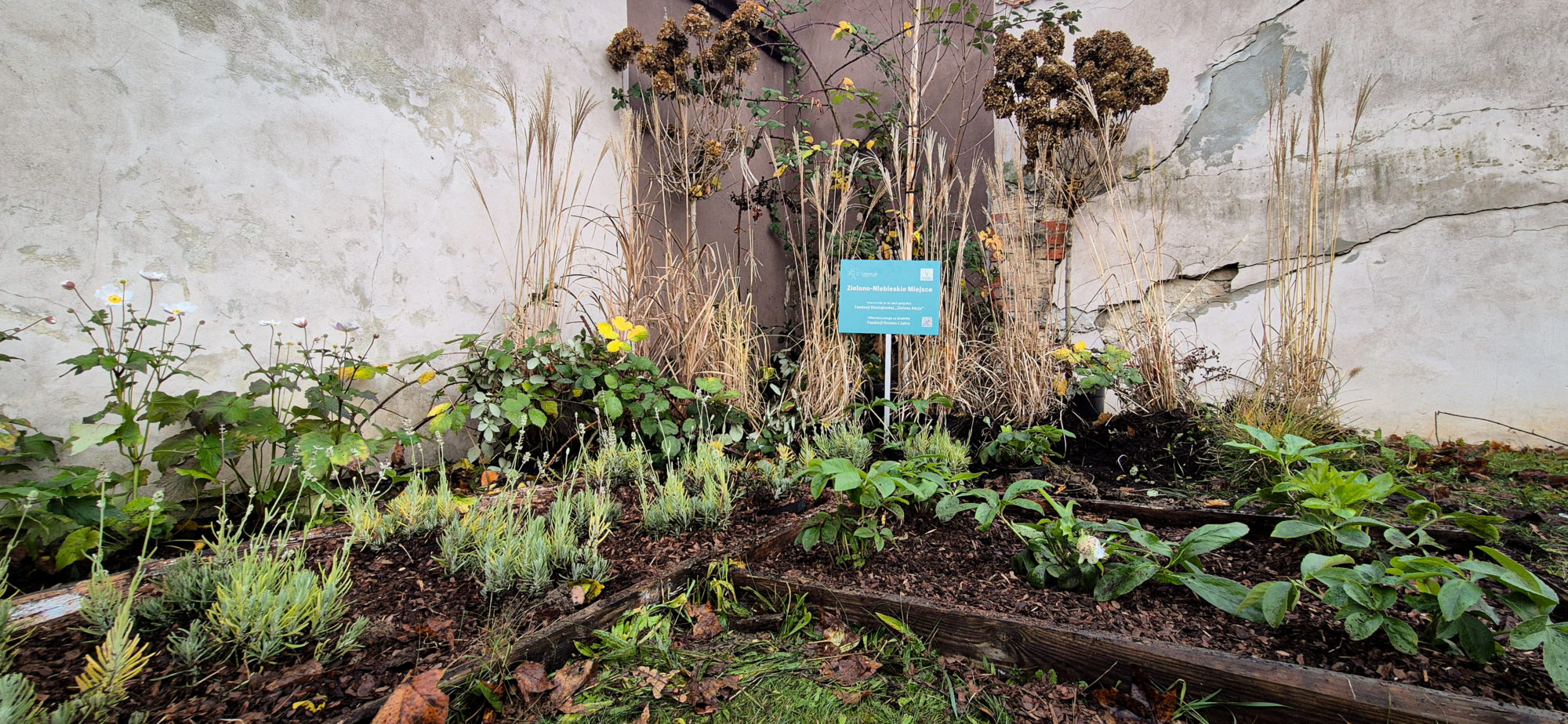 Szkolne inicjatywy dla dobrego klimatu, edycja jesień 2025