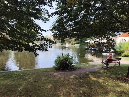 Rady seniorów wspierają przyjazną przestrzeń dla osób starszych