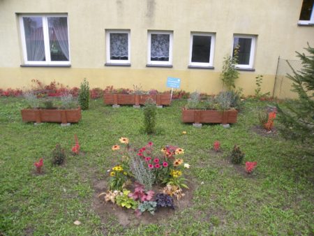 Zdjęcie WhatsApp 2025-10-22 o 12.09.20_67c7a7bc