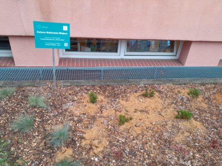 Zdjęcie WhatsApp 2025-11-26 o 08.32.15_c6e75fa8