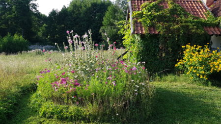 Zaproszenie do udziału w działaniach realizowanych w ramach projektu PROADAPT