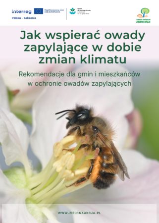 obraz owad_page-0001